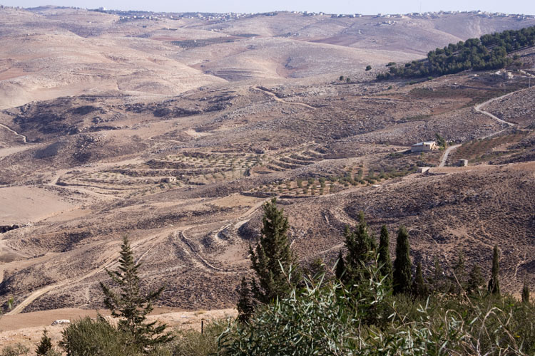 Madaba_02