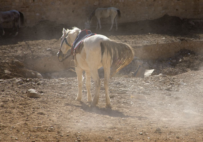 Petra_077