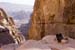 Petra_100